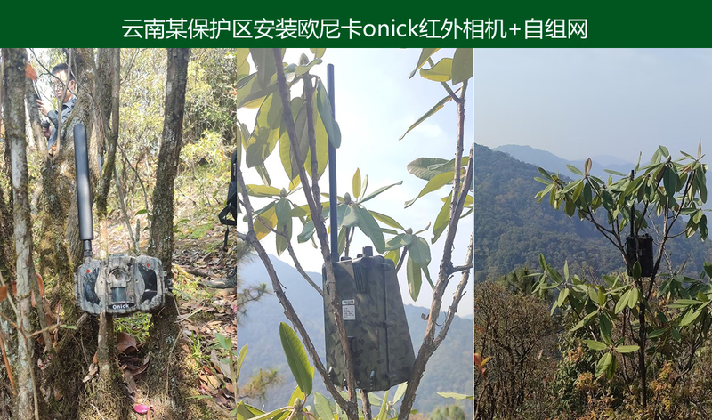 欧尼卡onick野生动物监测相机云平台系统+自组网