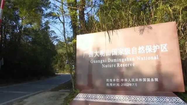 快讯｜欧尼卡太阳能4G红外相机在广西大明山保护区拍到国家二级重点保护动物“豹猫”