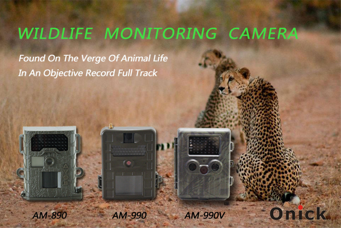 红外触发相机发现濒临动物 全程客观的记录生命轨迹