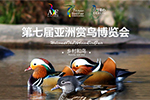 第七届亚洲赏鸟博览会首次在中国大陆举办