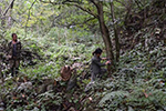 中国森林野生动物红外相机监测规范<一>